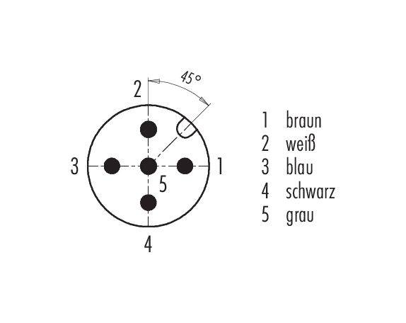 Flanschstecker S.763 5pol. AWG24 M16x1,5 | BINDER | Serie 763 | Automatisierung-1