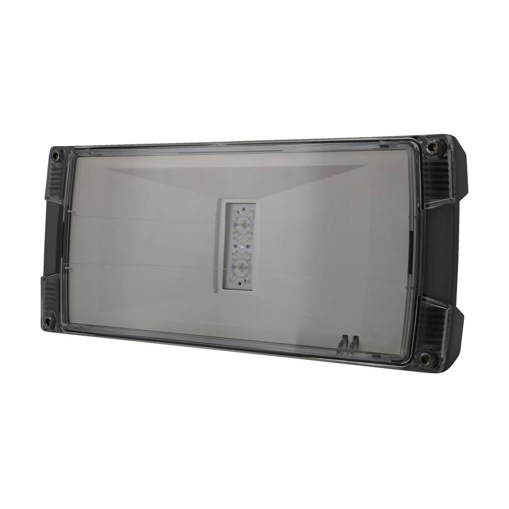 Ceag Notlichtsysteme LED-Einzelbatterie-Leuchte m.autom. Funkt.test AtlanticLED SCGLine+-0