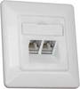 BTR NETCOM Anschlußdose design E-DAT 8/8(8)UP pws
