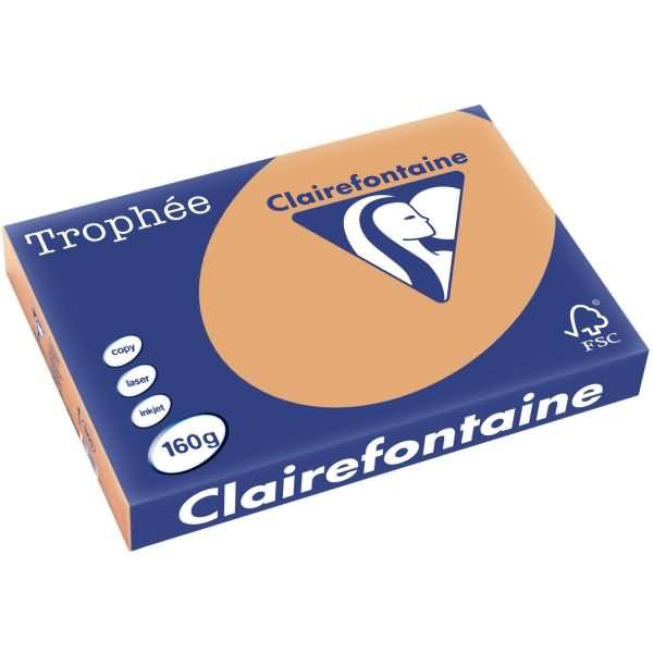 Kopierpapier Trophee A3 160g/qm VE=250 Blatt camel-0