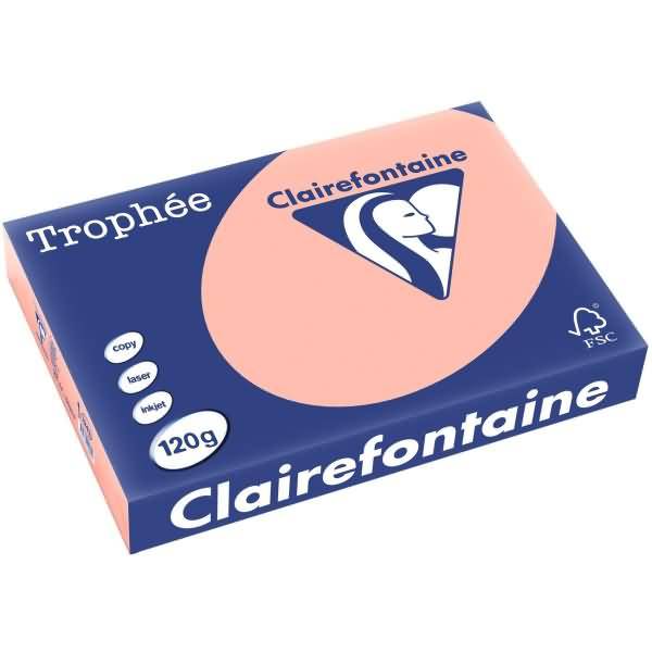 Kopierpapier Trophee A4 120g/qm VE=250 Blatt pfirsich