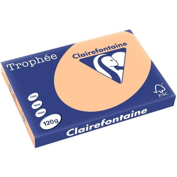 Kopierpapier Trophee A3 120g/qm VE=250 Blatt aprikose-0