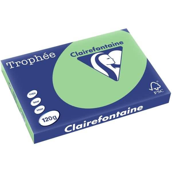 Kopierpapier Trophee A3 120g/qm VE=250 Blatt naturgrün