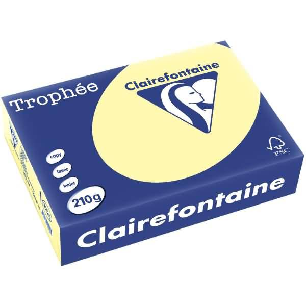Kopierpapier Trophee A4 210g/qm VE=250 Blatt gelb