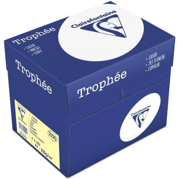 Kopierpapier Trophee A4 210g/qm VE=250 Blatt gelb-1