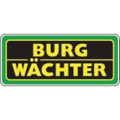 Burg Wächter 10670 Geldkassette (B x H x T) 152 x 80 x 115mm Grün online  bestellen