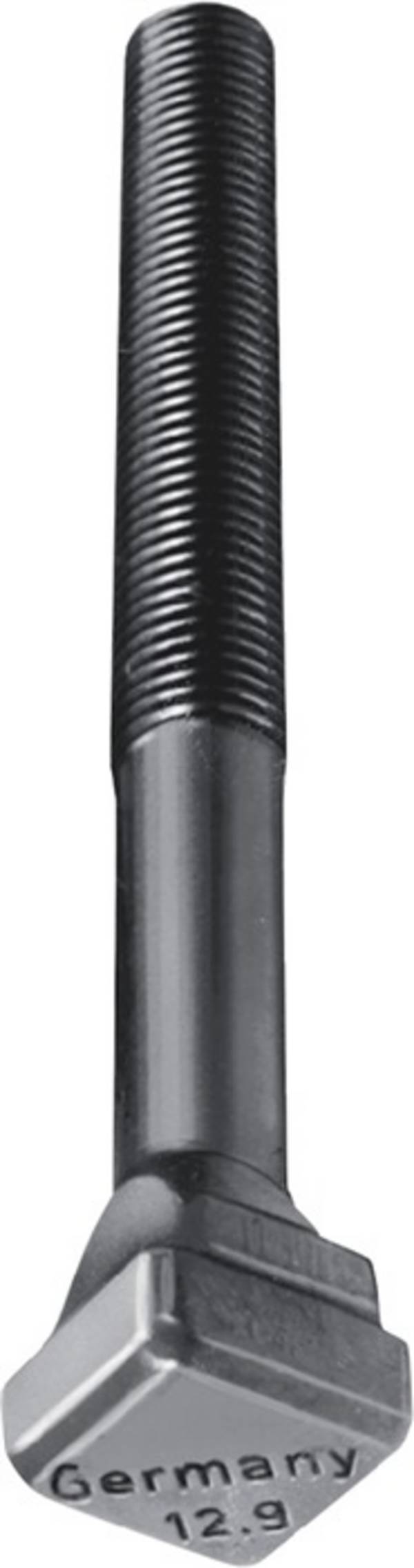 T-Nutenschraube DIN 787 T-Nut 12mm M12 L.63mm Güte 12.9 AMF