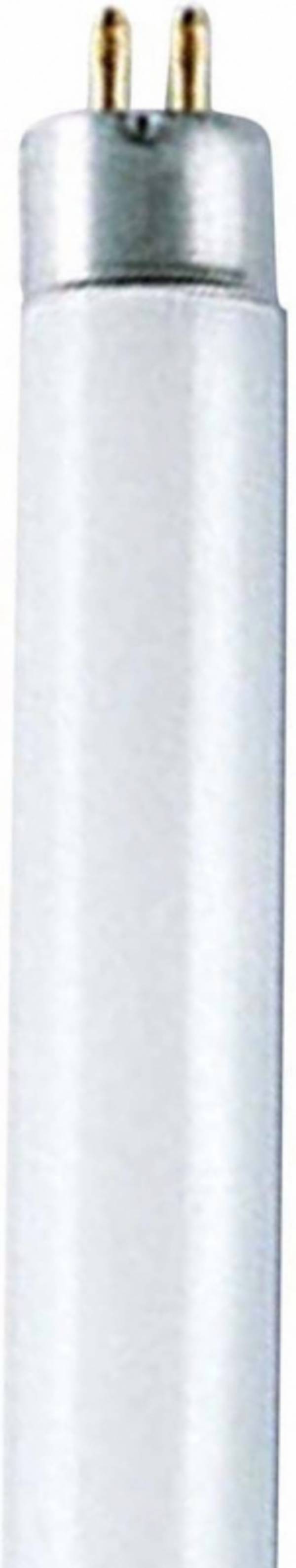 Scharnberger+Hasenbein Leuchtstofflampe T5 68643