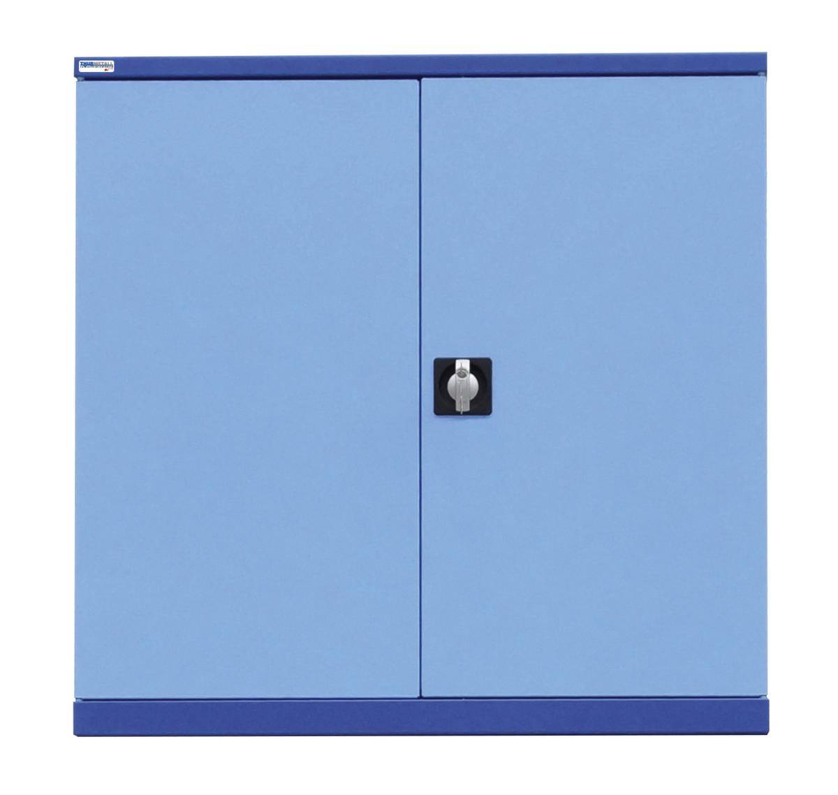 Doppel-Flügeltür,anthrazit,HxB 1000x1005mm-0