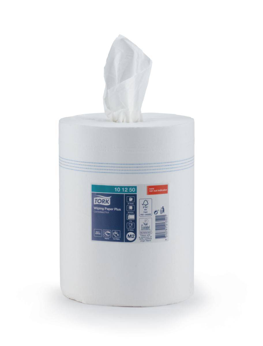 Papierhandtuch-Rolle,Papiermaß 245x350mm,Rolle L 160m,Tissue,2-lagig,Zellstoff,weiß,457 Tücher,perforiert-1