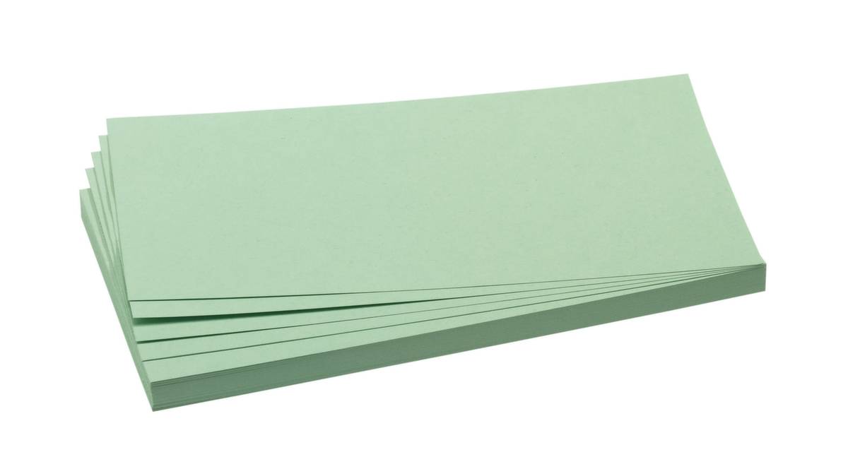 Moderationskarte hellgrün 500 St./Pack.-2