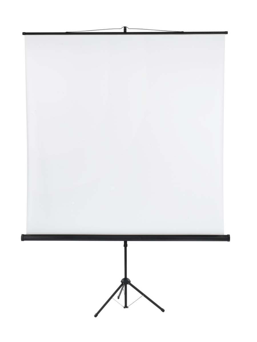 Stativleinwand X-tra Line 180x180cm Dreibeinstativ-2