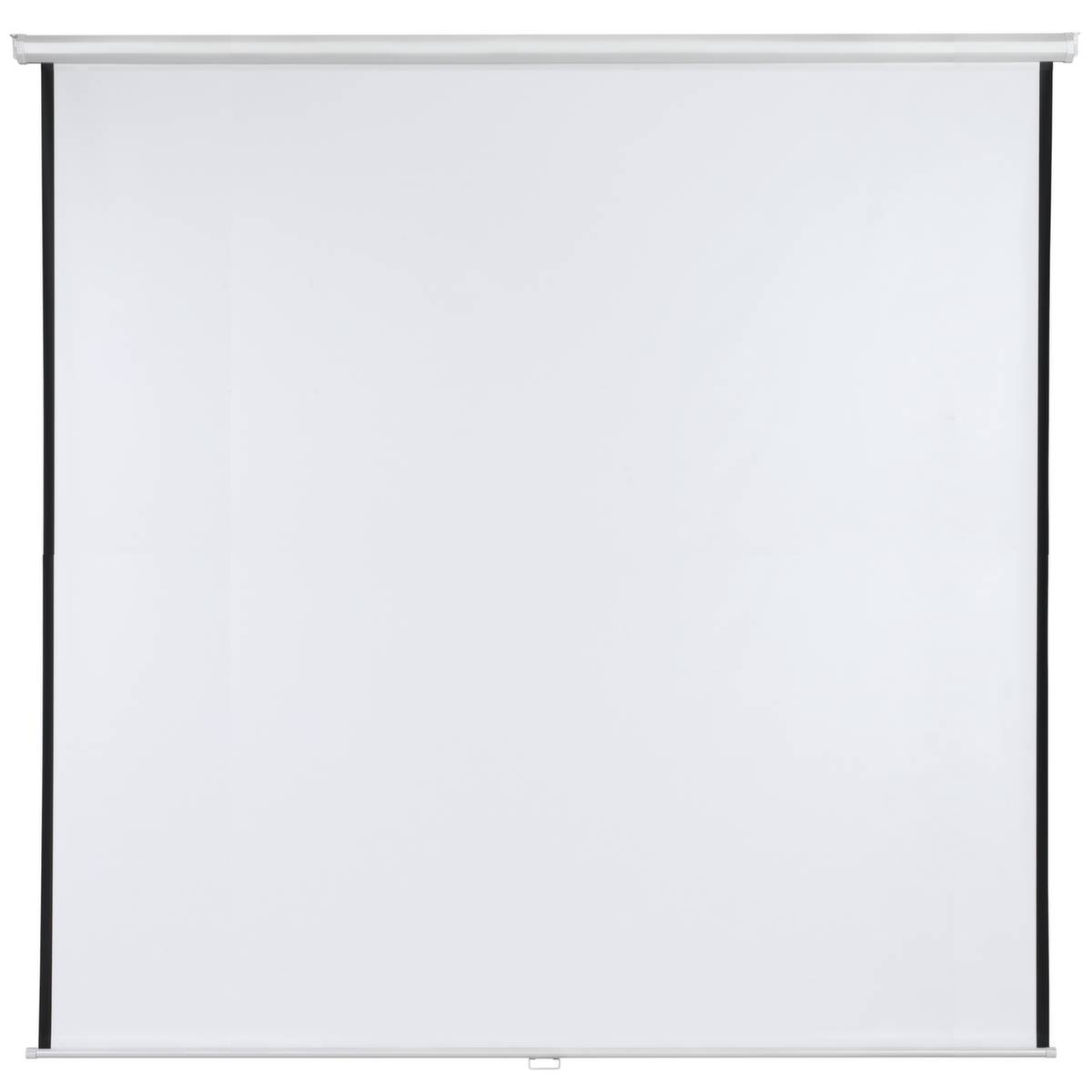 Rolloleinwand X-tra! Line manuell 246x240 cm Typ D-2