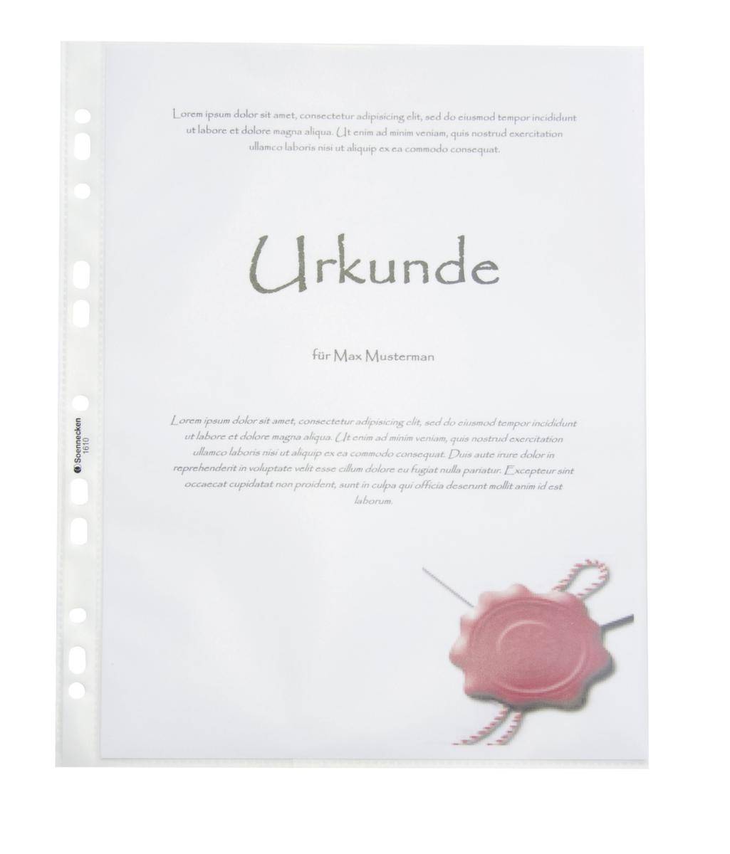 Prospekthülle DIN A4 PP transparent 50 St./ Pack.-2