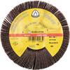 Schleifmoprad WSM 617 60 braun Ø125xB20mm M14 KLINGSPOR