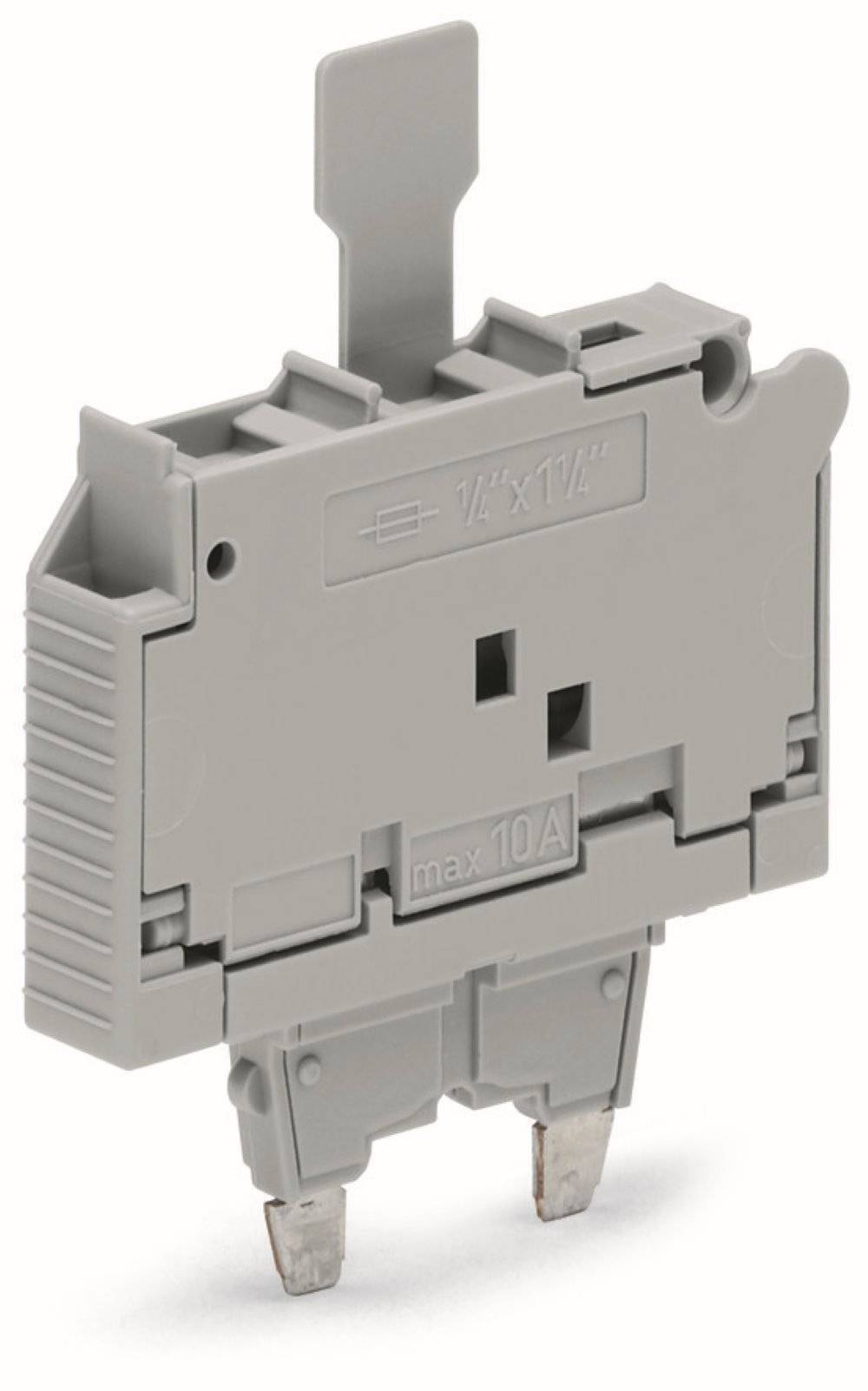 Wago Sicherungsstecker;mit Lasche;für G-Sicherungseinsatz ¼" x 1¼";grau - 2006-931 - 25 Stück-0