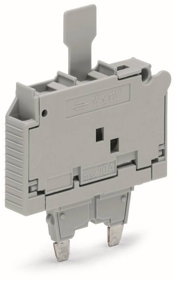 Wago Sicherungsstecker;mit Lasche;für G-Sicherungseinsatz ¼" x 1¼";grau - 2006-931 - 25 Stück