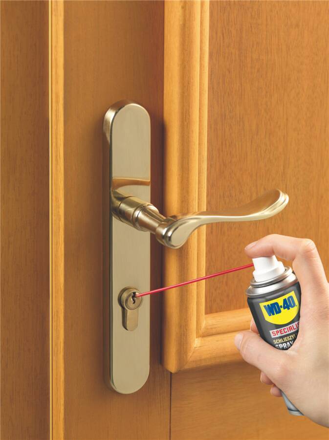 WD-40 Schließzylinder-Spray 49462/NBA Inhalt 100 ml Gebindeart Dose-1