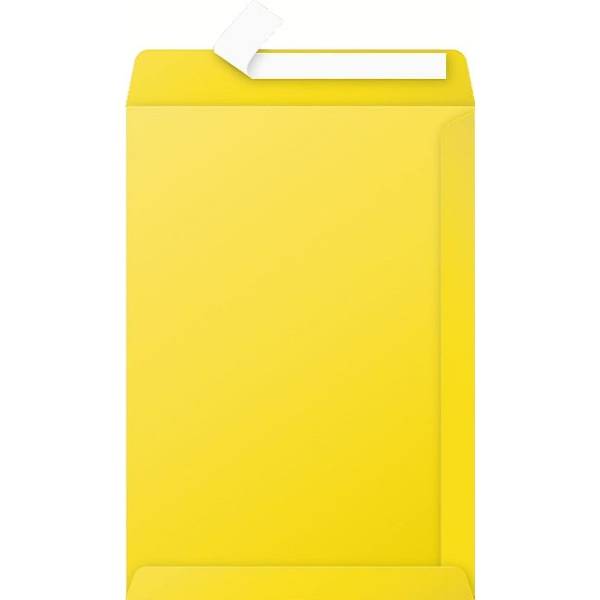 Briefumschlag Pollen C4 120g VE=200 Stück Haftklebung sonne-0