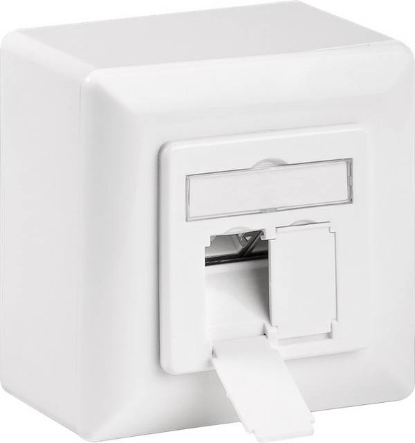 Goobay 68572 Netzwerkdose Aufputz Einsatz CAT 6a 2 x RJ45 Port Signalweiß  mit Einsatz, Zentralplatte und Rahmen