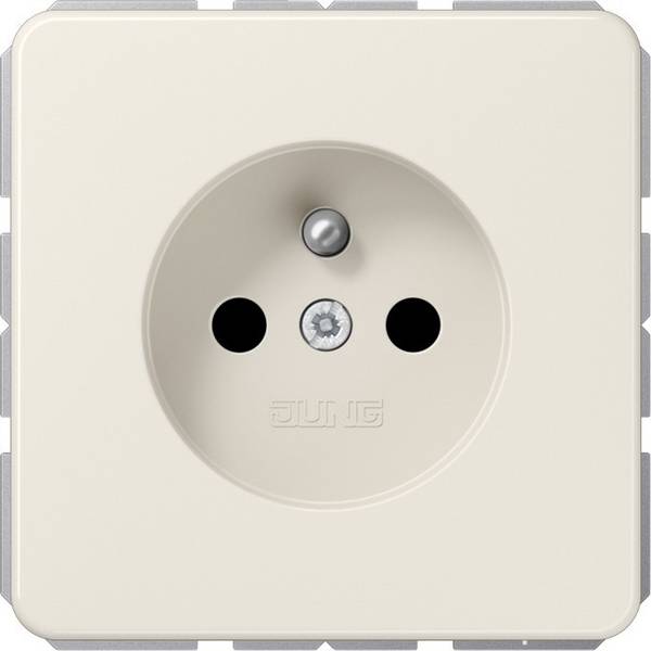 Jung Steckdose CD 1520 FKI