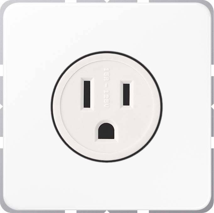 Jung Steckdose US-Norm NEMA CD 521-15 WW-0