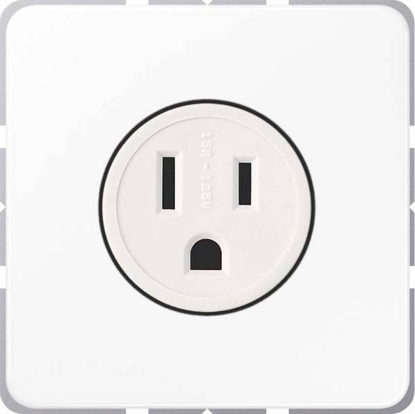 Jung Steckdose US-Norm NEMA CD 521-15 WW