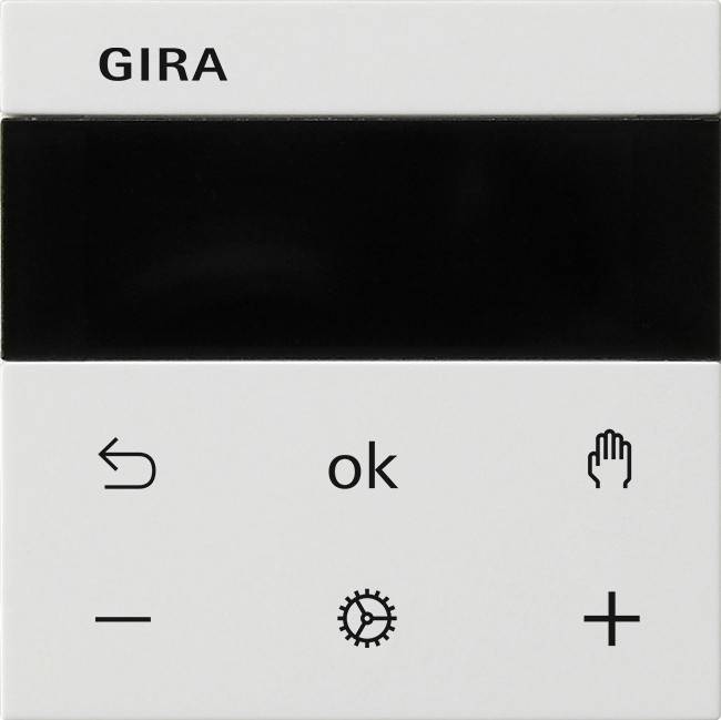 Gira RTR Display 539327 reinweiß Kunststoff-0