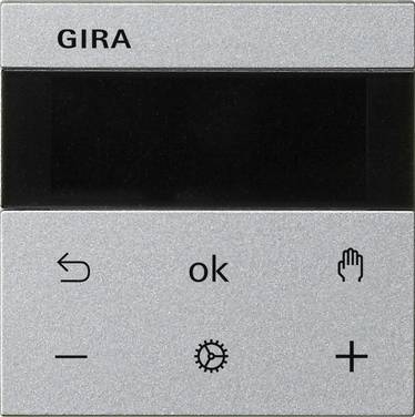 Gira RTR BT System 539426