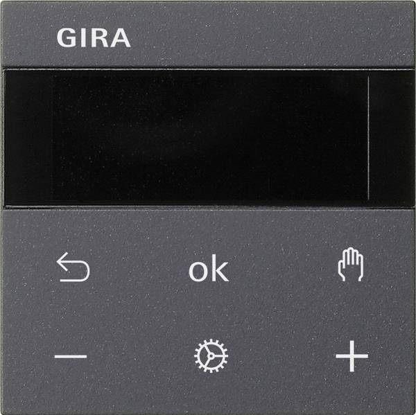 Gira RTR BT System 539428