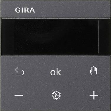 Gira RTR BT System 539428