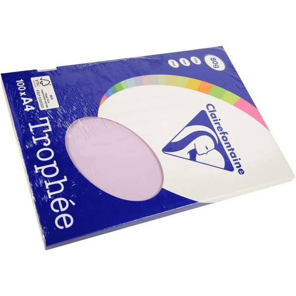 Kopierpapier Pollen A4 80g/qm 100 Blatt flieder