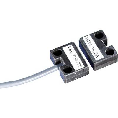 Siemens Magnetschalter 3SE6605-3BA