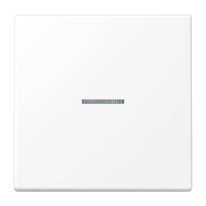 Jung KNX RF Taster 1fach Duroplast lackiert LS 10911 ST WWM-0