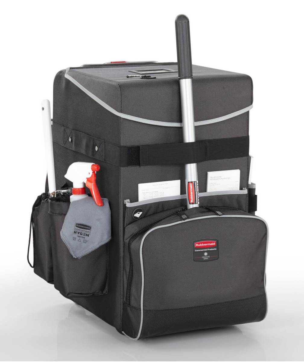 Reinigungstrolley,abnehm-/tragbarer Caddy,Fächer,Trennwände,HxBxT 635x363x419mm,2 Rollen-1