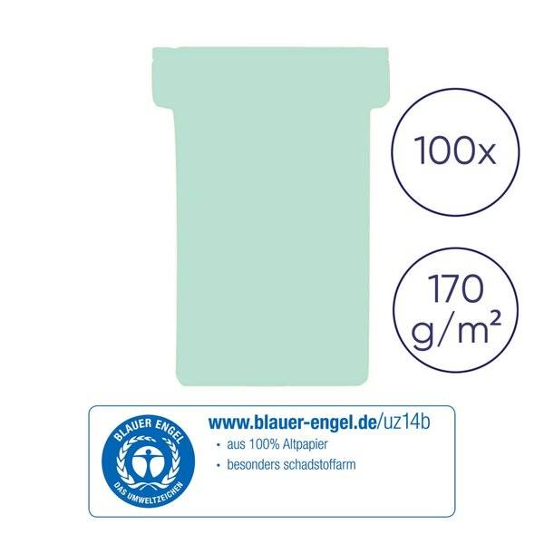 T-Karte Größe2 84x48mm hellgrün 100 St./Pack.-1