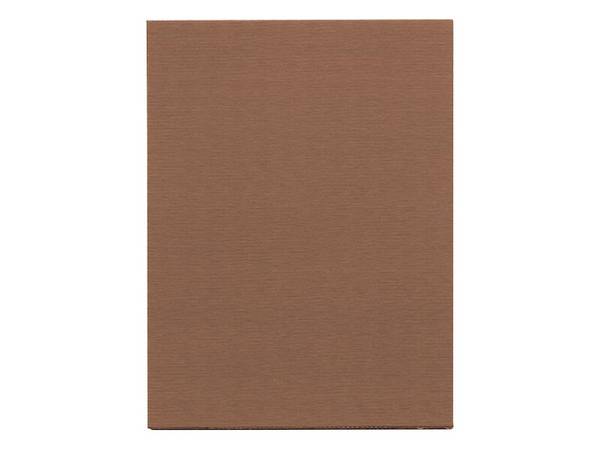 BUNGARD Fotopositivplatine 75 x 100 mm 1,5 mm Epoxyd beidseitig beschichtet