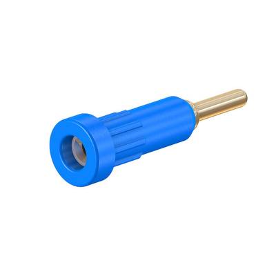 Stäubli EB2-A Einpressbuchse isoliert 2 mm blau Messing vergoldet mit Anschlusspin