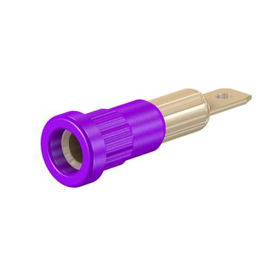 Stäubli EB4 Einpressbuchse isoliert 4 mm violett vergoldet mit Flachstecker 4,8 mm
