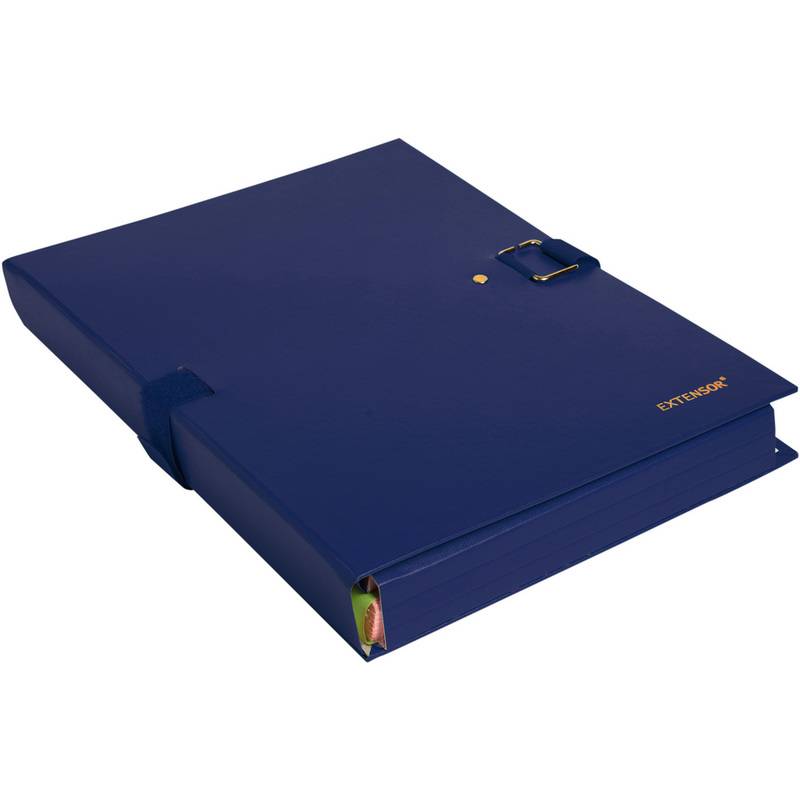 EXACOMPTA Dokumentenmappe EXTENSOR, DIN A4, blau-0