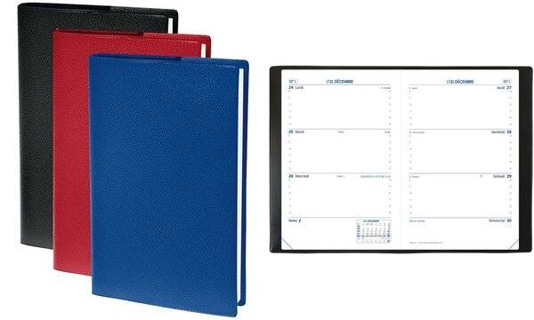 Quo Vadis Taschenkalender SAPA X Impala, 2019, sortiert (57000141)-1