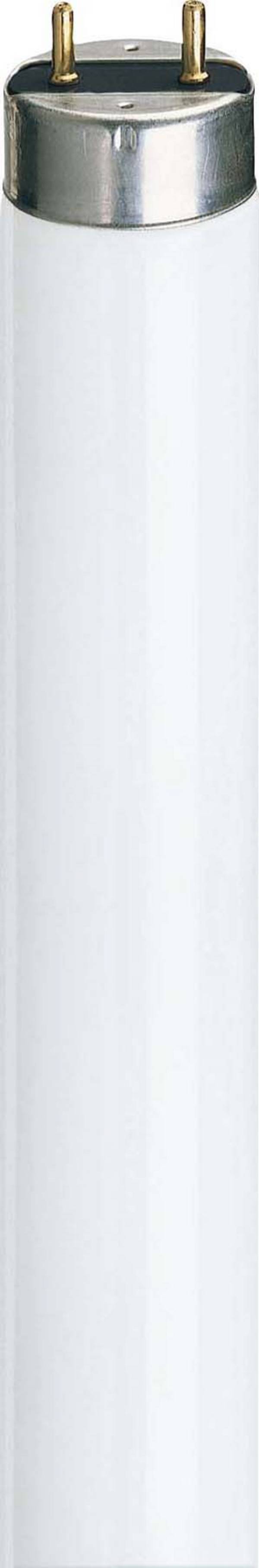 Philips Lighting Leuchtstofflampe TL-D 36W/830