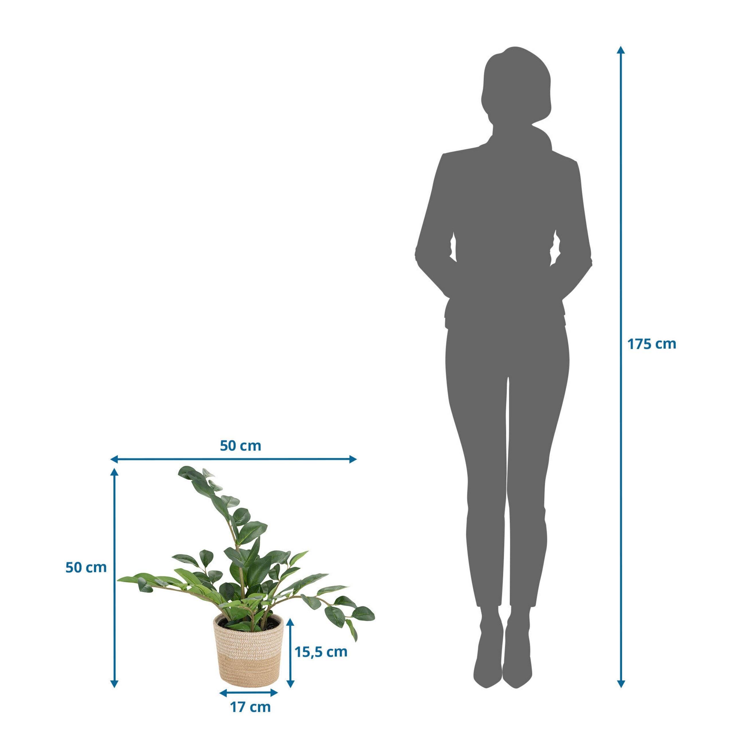 Kunstpflanze Kunstbaum ZAMIE Zamioculcas grün hjh OFFICE-1