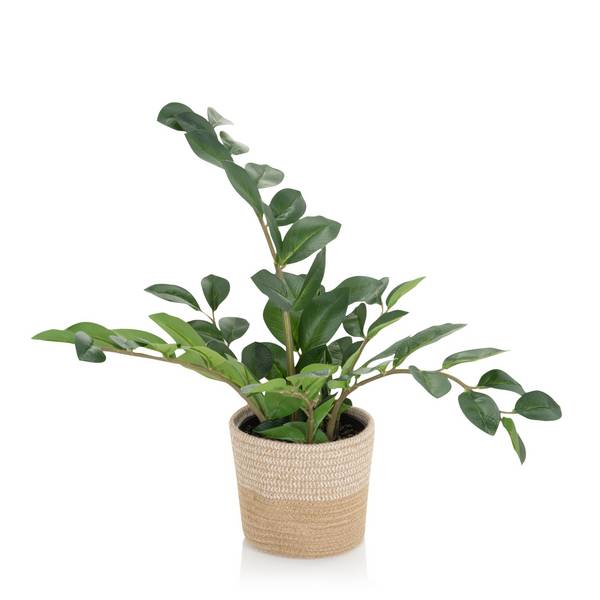 Kunstpflanze Kunstbaum ZAMIE Zamioculcas grün hjh OFFICE