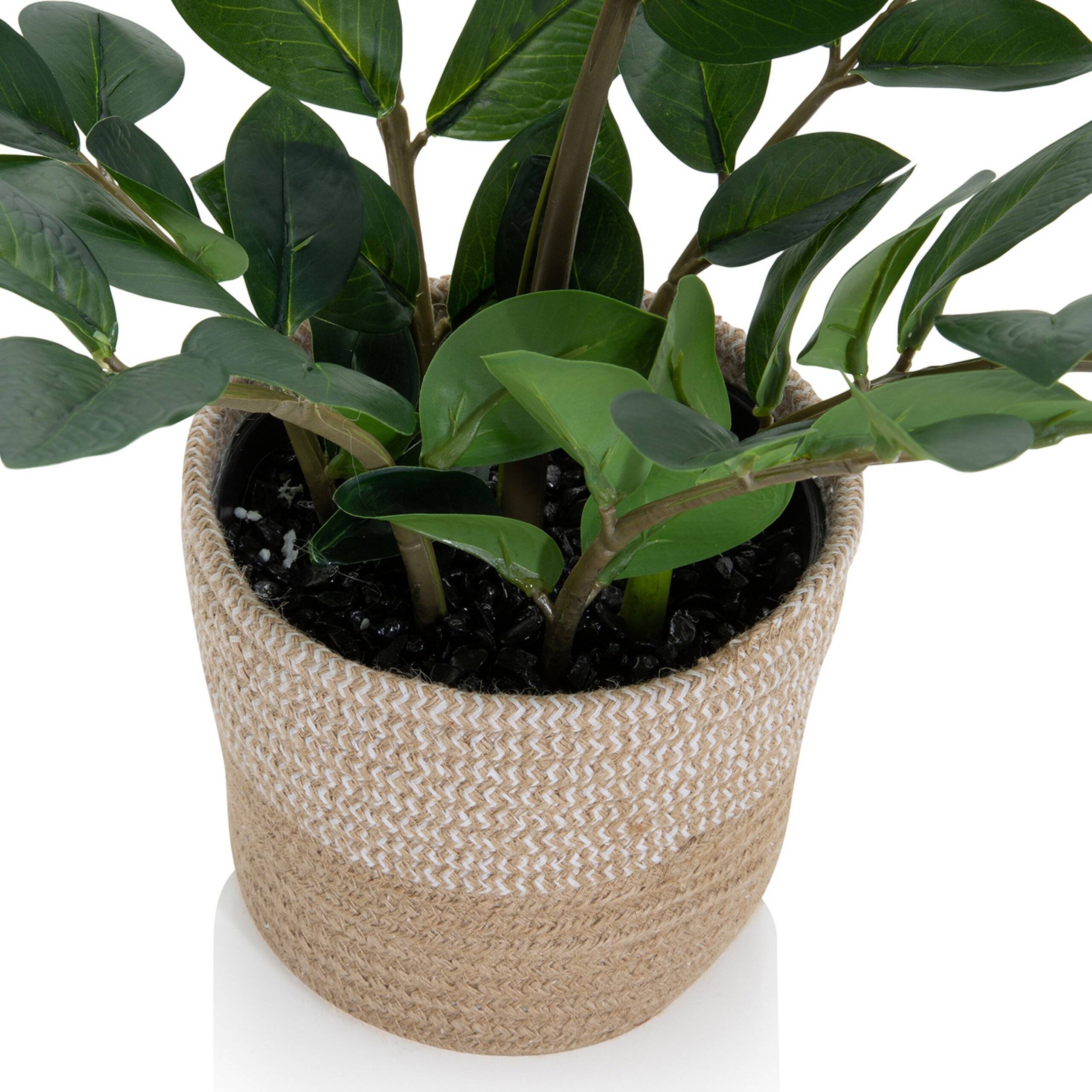 Kunstpflanze Kunstbaum ZAMIE Zamioculcas grün hjh OFFICE-3