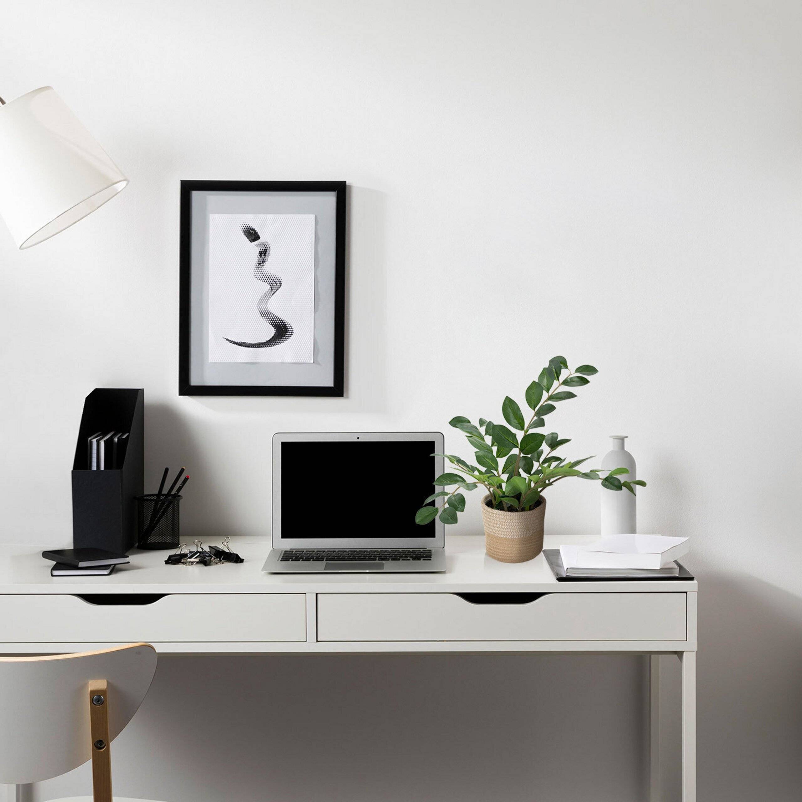 Kunstpflanze Kunstbaum ZAMIE Zamioculcas grün hjh OFFICE-4