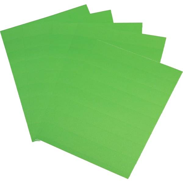Einsteckkarten Planrecord A4 hoch B210xH297mm VE= 5 Bogen a 8 Streifen moos