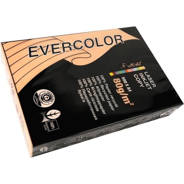 Multifunktionspapier evercolor RC A4 210x297mm 80g/qm lachs VE=500 Blatt-0