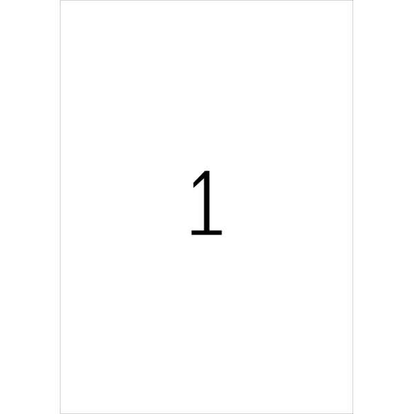 Etiketten Folie Typenschild silber 210x297mm Special A4 LaserCopy VE=10 Stück-1