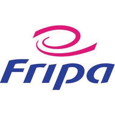 fripa Papierhandtuch Plus 4021101 V-Falz 25x23cm gn 20x250 Bl./Pack.-1